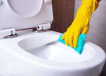 Aprenda a limpar a sanita de modo eficaz obtendo uma higienização eficiente!