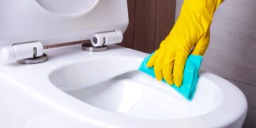 Aprenda a limpar a sanita de modo eficaz obtendo uma higienização eficiente!