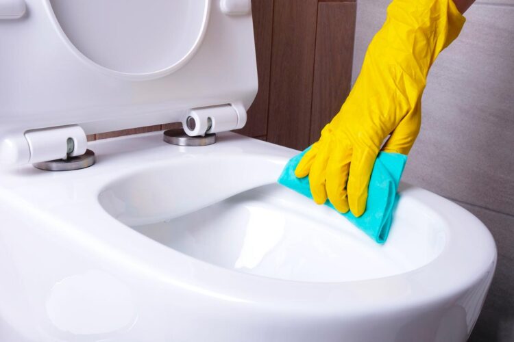 Aprenda a limpar a sanita de modo eficaz obtendo uma higienização eficiente!