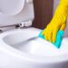 Aprenda a limpar a sanita de modo eficaz obtendo uma higienização eficiente!