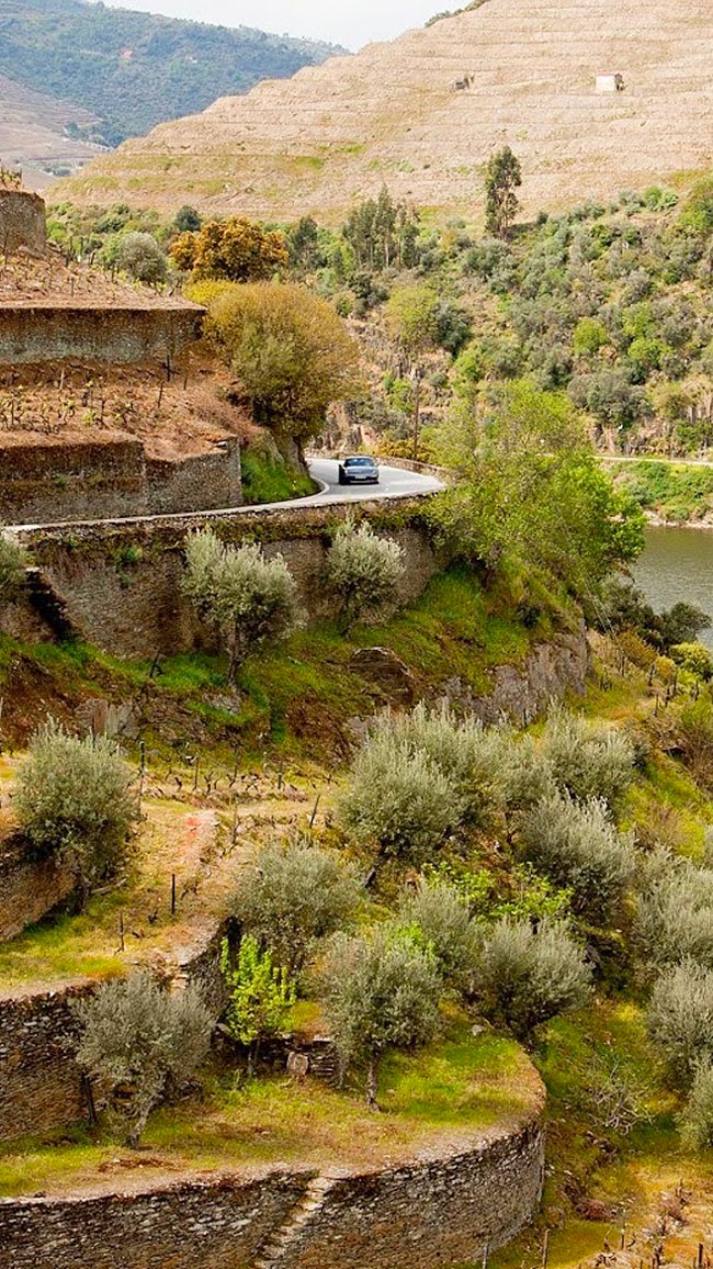 EN222: a Melhor Estrada do Mundo está no Norte de Portugal A EN222, na região vinícola do Douro, foi considerada a melhor estrada do mundo.