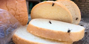 Métodos naturais que funcionam e ajudam a manter as moscas bem longe.