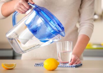 Em Portugal, a água para consumo doméstico é segura e de boa qualidade.