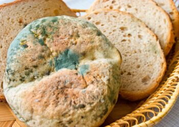 Aprenda a identificar os alimentos que podem ser salvos e aqueles que devem ser descartados.