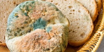 Aprenda a identificar os alimentos que podem ser salvos e aqueles que devem ser descartados.