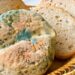 Aprenda a identificar os alimentos que podem ser salvos e aqueles que devem ser descartados.