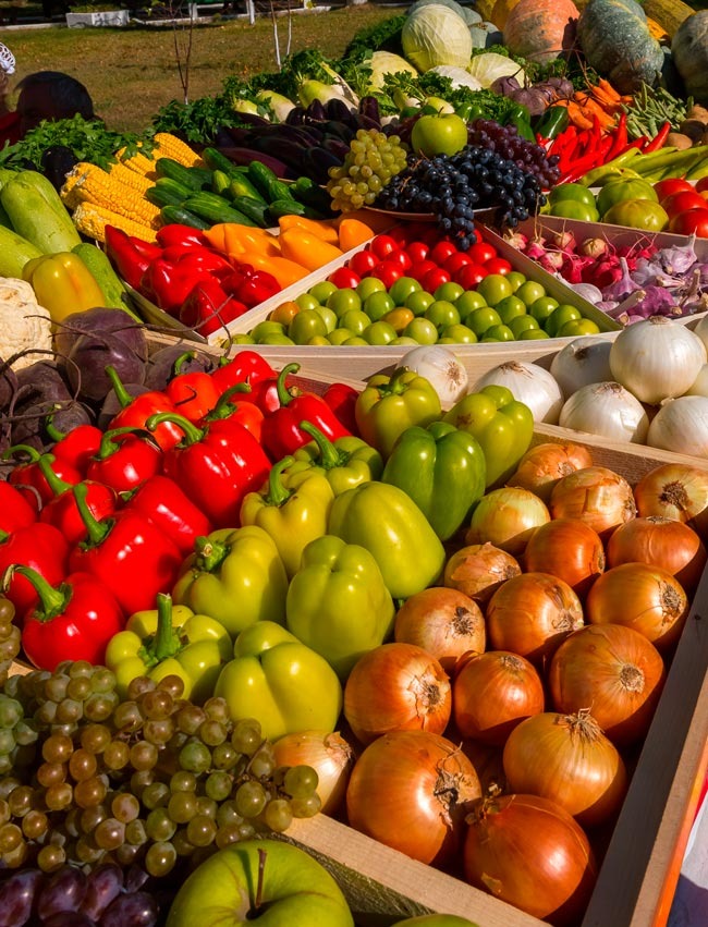Aprenda a conservar frutas e legumes por muito mais tempo Mantenha a sua frescura e as suas qualidades por muitos mais dias!