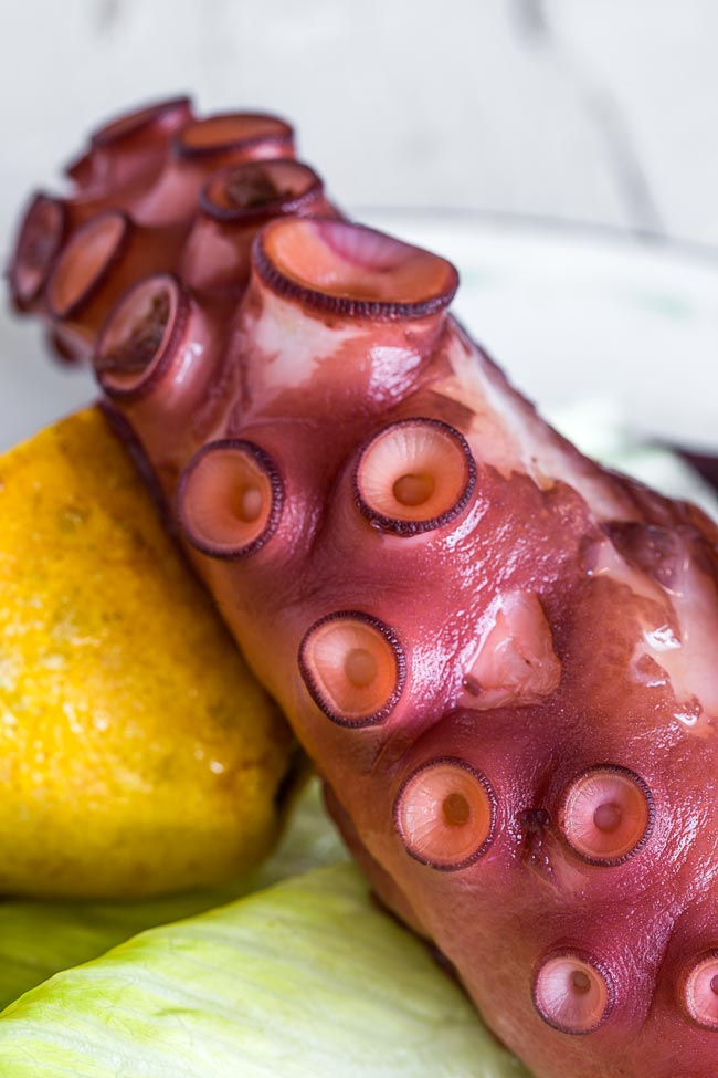 Aprenda a cozer polvo congelado na perfeição Este desafio culinário vai resultar numa iguaria deliciosa!
