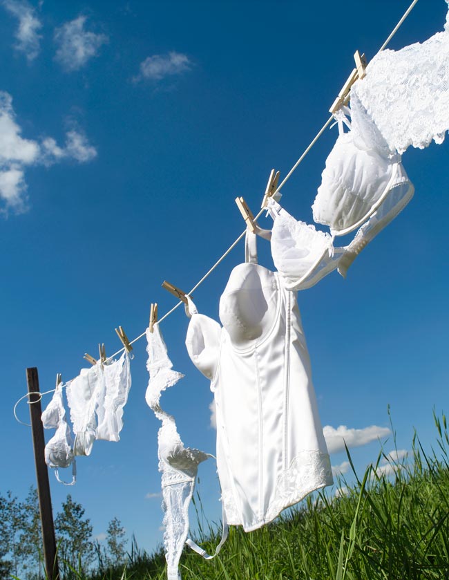 Estender a roupa: truques para secar a roupa rápida e eficientemente Estender a roupa pode ser mais complexo do que parece. Há muito a aprender sobre este processo.