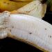 É um desafio, mas possível! Diga adeus à mosca-da-fruta de uma vez por todas!