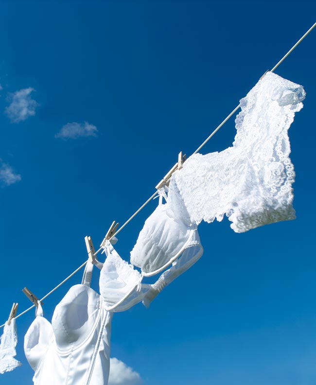 Aprenda a cuidar da lingerie para que ela dure mais tempo Prolongue a vida útil da sua lingerie e sinta-se confiante a cada uso. cuidar da lingerie