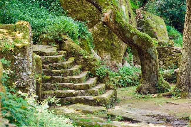 Convento dos Capuchos, um dos monumentos mais marcantes de Sintra O convento dos Capuchos impressiona todos quantos ali se deslocam.