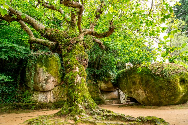 Convento dos Capuchos, um dos monumentos mais marcantes de Sintra O convento dos Capuchos impressiona todos quantos ali se deslocam.