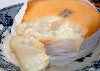 Delicie-se com a riqueza da tradição queijeira portuguesa através destas incríveis opções. Queijos portugueses