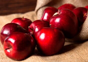 Descubra como a maçã pode ser um aliado valioso para o seu bem-estar geral.