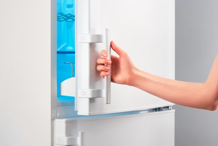 Maximize a vida útil dos seus alimentos e reduza os consumos de energia!