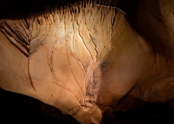 Um verdadeiro tesouro arqueológico que nos convida a desvendar os segredos do passado e a apreciar a riqueza da herança pré-histórica. Gruta do Escoural