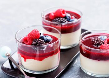 Um deleite para os amantes de frutos vermelhos! panacota de frutos vermelhos