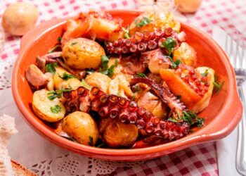 Traga um toque especial à sua ceia de Natal. polvo de Natal