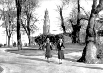 A injustiçada “Árvore da Forca” na Cordoaria