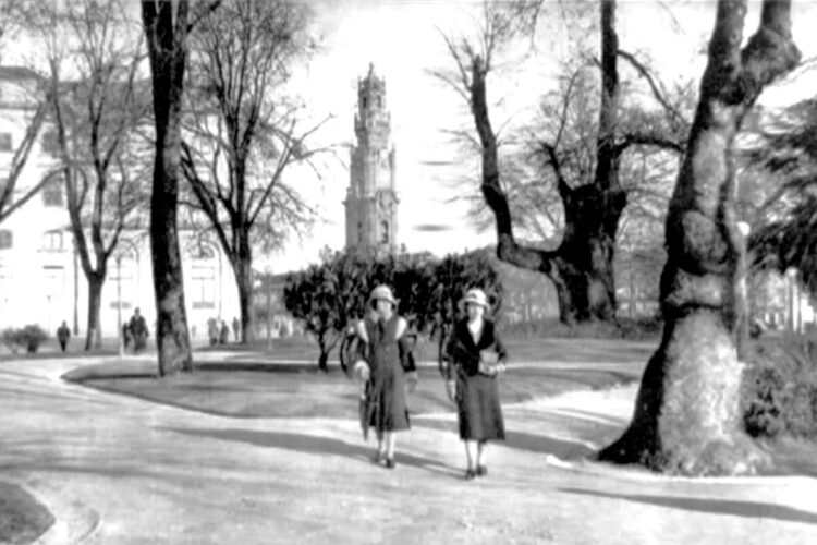 Porto: a Árvore da Forca onde nunca ninguém foi enforcado! A injustiçada “Árvore da Forca” na Cordoaria