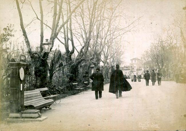 Porto: a Árvore da Forca onde nunca ninguém foi enforcado! A injustiçada “Árvore da Forca” na Cordoaria