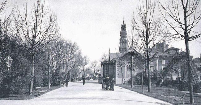 Porto: a Árvore da Forca onde nunca ninguém foi enforcado! A injustiçada “Árvore da Forca” na Cordoaria