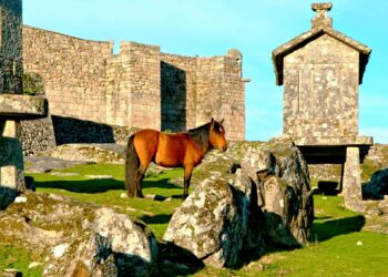 Casas tradicionais de pedra e paisagens deslumbrantes que capturam a essência da cultura e tradição minhotas.