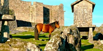Casas tradicionais de pedra e paisagens deslumbrantes que capturam a essência da cultura e tradição minhotas.