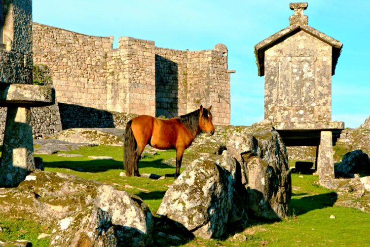 Casas tradicionais de pedra e paisagens deslumbrantes que capturam a essência da cultura e tradição minhotas.