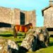 Casas tradicionais de pedra e paisagens deslumbrantes que capturam a essência da cultura e tradição minhotas.