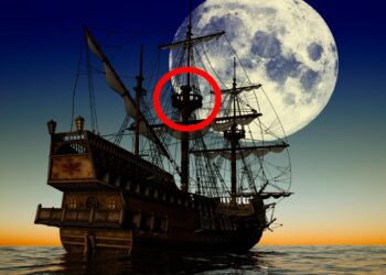 Frases que só os verdadeiros portuenses entendem! expressões só usadas no Porto