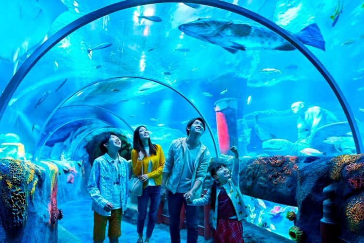 5 jardins e parques zoológicos perto do Porto de visita obrigatória Prepare-se para se maravilhar com a beleza natural e a diversidade animal desses locais incríveis.