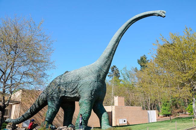 5 jardins e parques zoológicos perto do Porto de visita obrigatória Prepare-se para se maravilhar com a beleza natural e a diversidade animal desses locais incríveis.