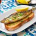 A rivalidade culinária entre as sardinhas portuguesas! melhor sardinha