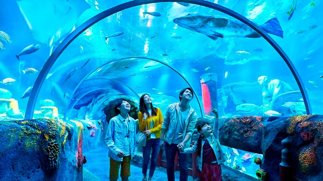 5 jardins e parques zoológicos perto do Porto de visita obrigatória Prepare-se para se maravilhar com a beleza natural e a diversidade animal desses locais incríveis. 5 jardins e parques zoológicos perto do Porto
