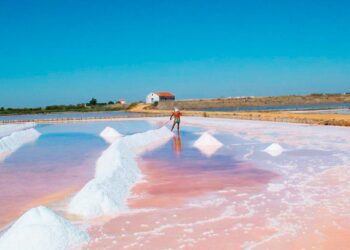 Venha descobrir a riqueza e a beleza por trás das Salinas do Samouco!