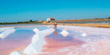 Venha descobrir a riqueza e a beleza por trás das Salinas do Samouco!