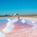Venha descobrir a riqueza e a beleza por trás das Salinas do Samouco!
