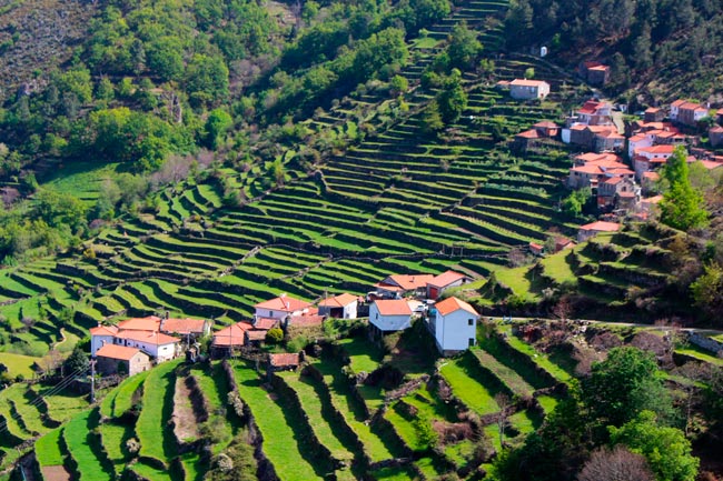 Casas tradicionais de pedra e paisagens deslumbrantes que capturam a essência da cultura e tradição minhotas. aldeias do Minho