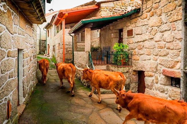 Casas tradicionais de pedra e paisagens deslumbrantes que capturam a essência da cultura e tradição minhotas. aldeias do Minho