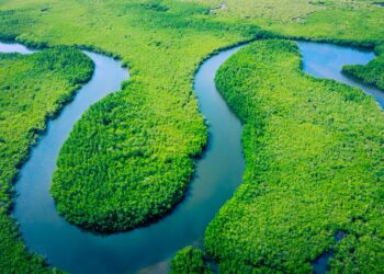 Vamos explorar a beleza e a grandiosidade destas vias fluviais impressionantes.