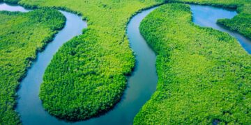Vamos explorar a beleza e a grandiosidade destas vias fluviais impressionantes.