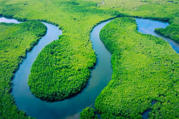 Vamos explorar a beleza e a grandiosidade destas vias fluviais impressionantes.