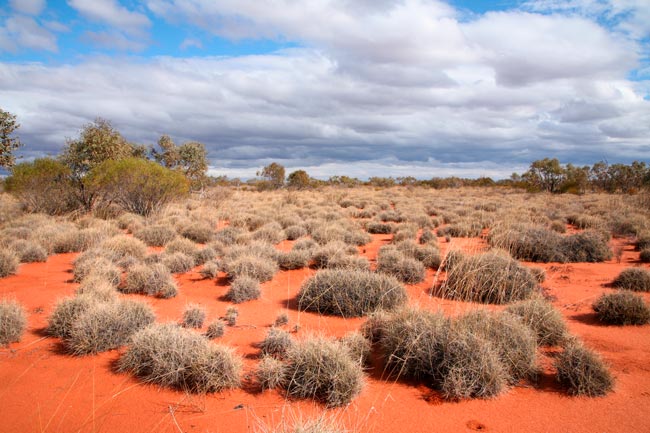 Conheça as condições extremas de alguns dos lugares mais intrigantes e isolados do planeta! maiores desertos do mundo