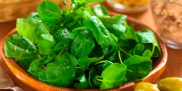 Essenciais para uma dieta equilibrada e salutar! alimentos mais saudáveis