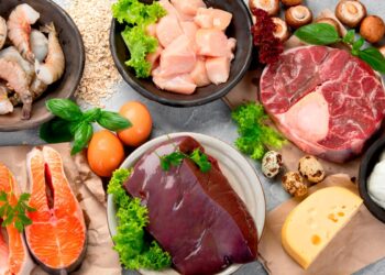 O segredo para uma boa nutrição está sempre assente numa dieta equilibrada.