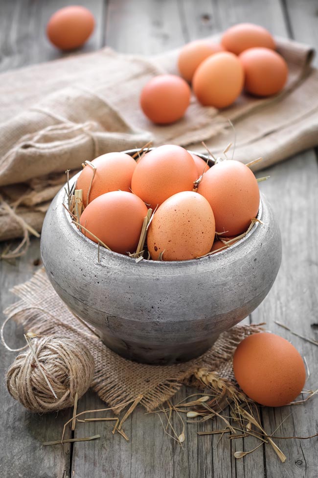 O segredo para uma boa nutrição está sempre assente numa dieta equilibrada. alimento mais completo 
