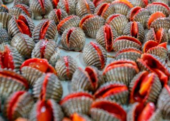 Vamos revelar-lhe os 10 alimentos mais letais para o consumo humano. alimentos mais perigosos