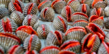 Vamos revelar-lhe os 10 alimentos mais letais para o consumo humano. alimentos mais perigosos